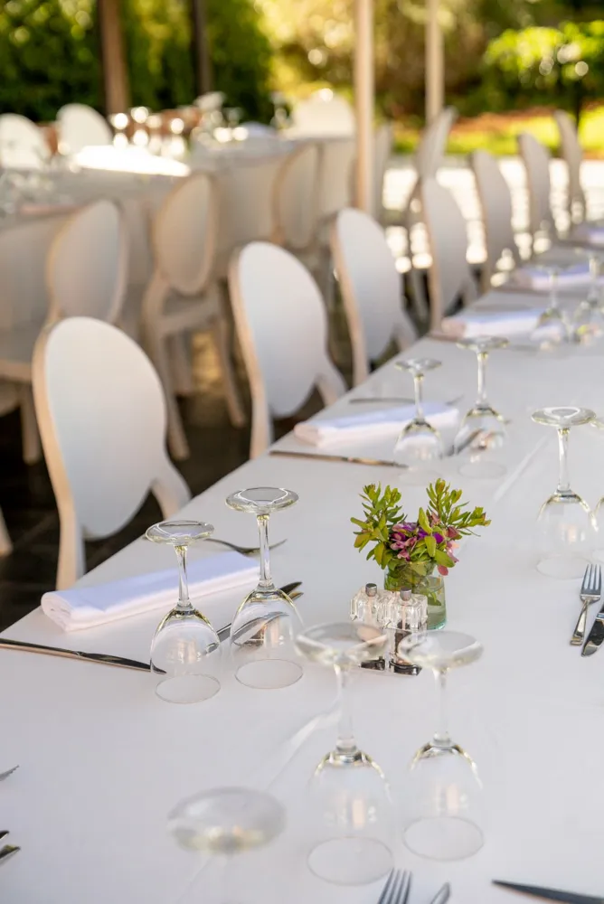 Long dinner table set with glasses and flowers in a garden